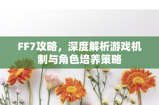 深度解析游戏机制与角色培养策略图片