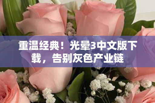 光晕3中文版下载图片