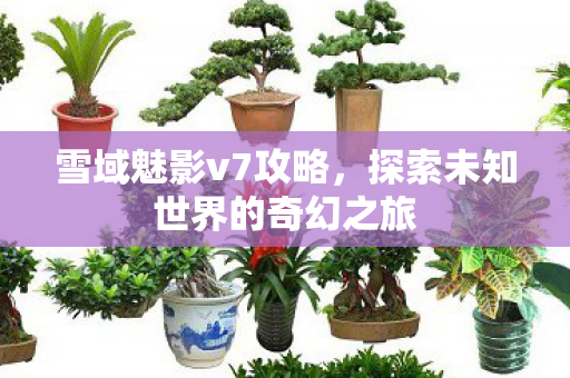 雪域魅影v7攻略,探索未知世界的奇幻之旅 雪域魅影v7攻略,探索未知世界的奇幻之旅