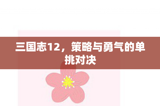 策略与勇气的单挑对决图片