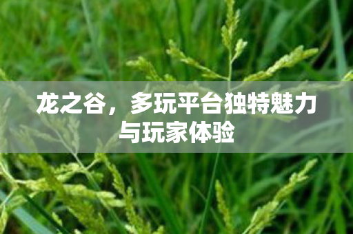 多玩平台独特魅力与玩家体验图片