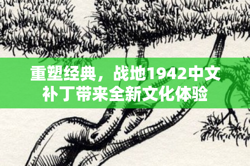 战地1942中文补丁带来全新文化体验图片