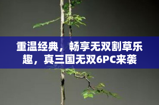 真三国无双6PC来袭图片