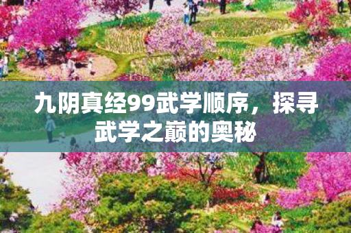九阴真经99武学顺序图片