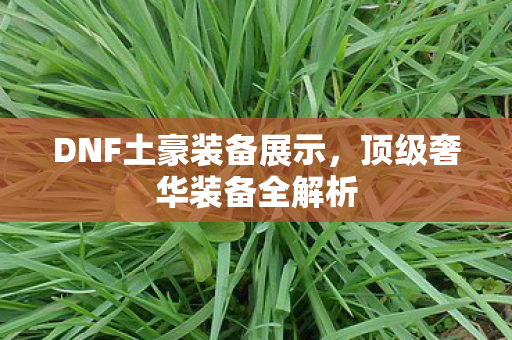 DNF土豪装备展示图片