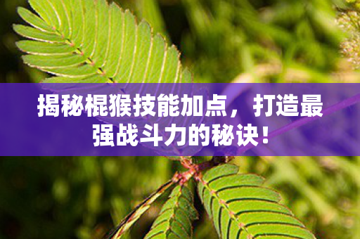 打造最强战斗力的秘诀图片