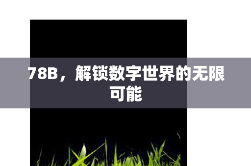 解锁数字世界的无限可能图片