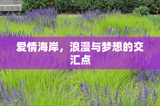 浪漫与梦想的交汇点图片