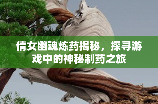 探寻游戏中的神秘制药之旅图片