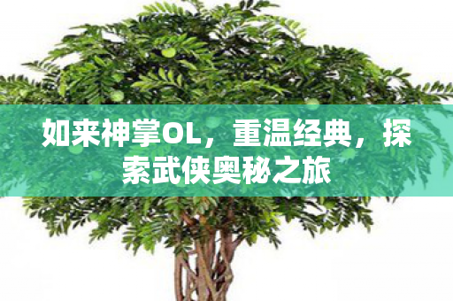 探索武侠奥秘之旅图片