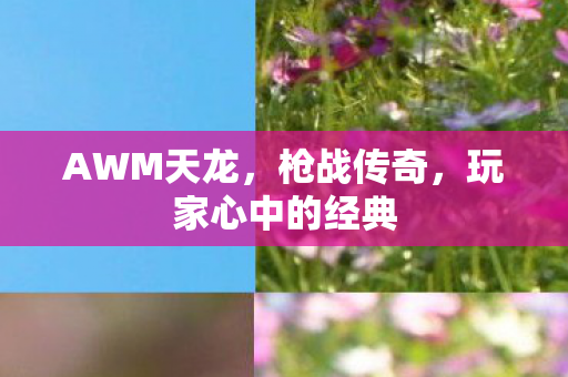 玩家心中的经典图片
