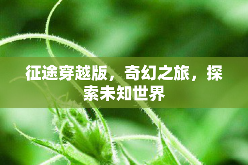 探索未知世界图片