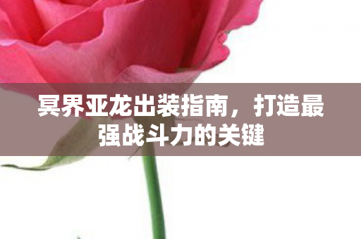 打造最强战斗力的关键图片