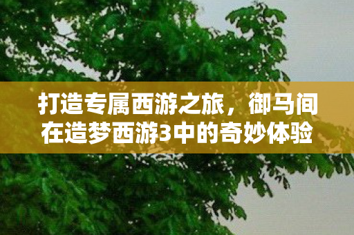 御马间在造梦西游3中的奇妙体验图片