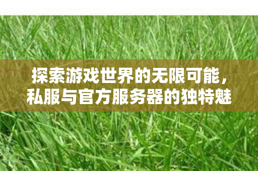 私服与官方服务器的独特魅力图片