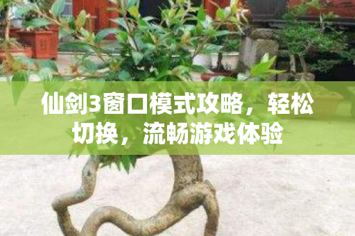 仙剑3窗口模式攻略图片