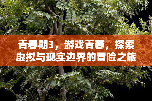 探索虚拟与现实边界的冒险之旅图片