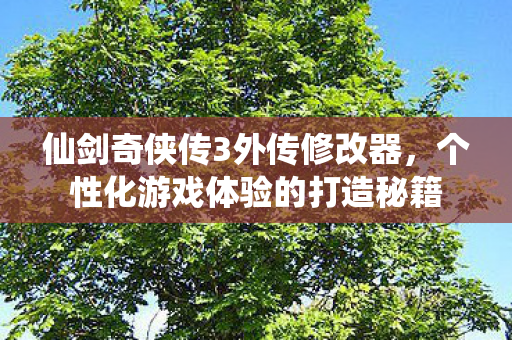 个性化游戏体验的打造秘籍图片