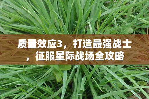 征服星际战场全攻略图片