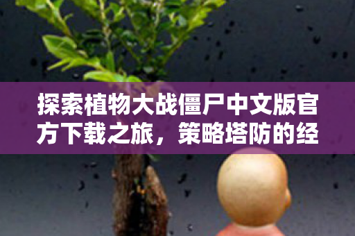 探索植物大战僵尸中文版官方下载之旅图片