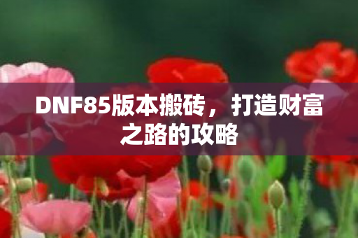 DNF85版本搬砖图片