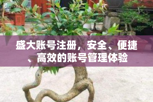 高效的账号管理体验图片