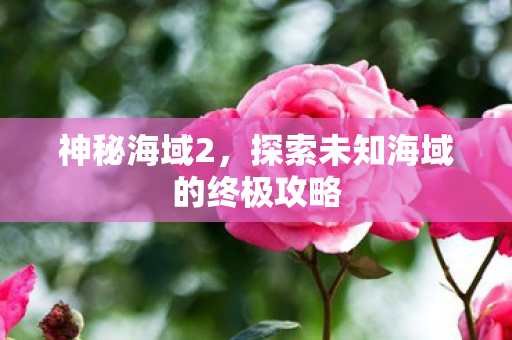 探索未知海域的终极攻略图片