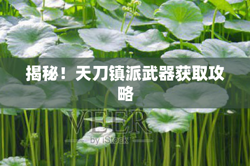 天刀镇派武器获取攻略图片