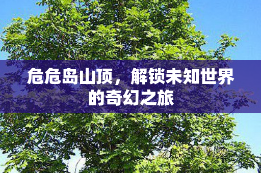 解锁未知世界的奇幻之旅图片