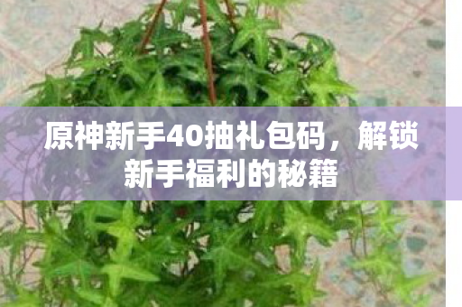 原神新手40抽礼包码图片