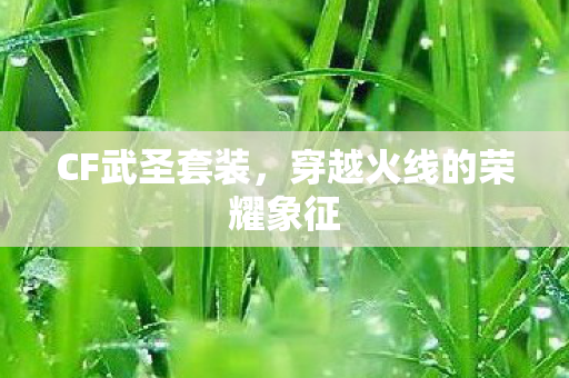 穿越火线的荣耀象征图片