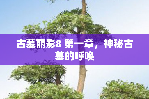 古墓丽影8 第一章图片