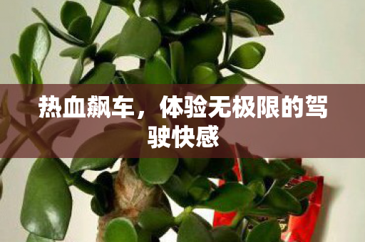 体验无极限的驾驶快感图片