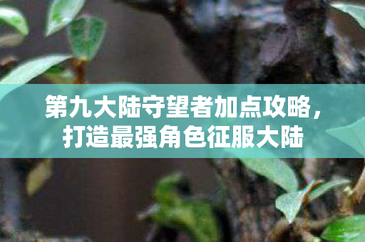 第九大陆守望者加点攻略图片