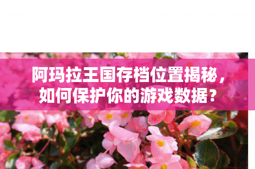 阿玛拉王国存档位置揭秘图片