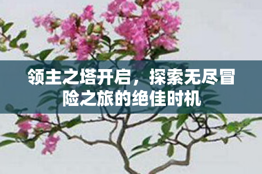 探索无尽冒险之旅的绝佳时机图片