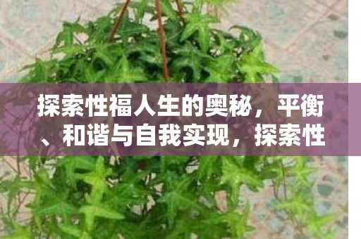 探索性福人生的奥秘图片