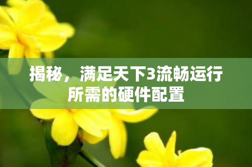 满足天下3流畅运行所需的硬件配置图片