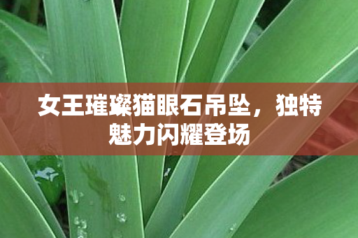 女王璀璨猫眼石吊坠图片