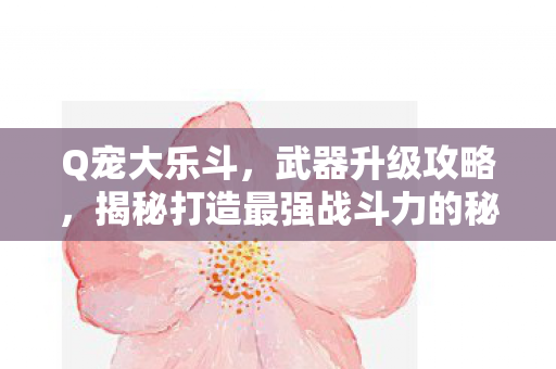揭秘打造最强战斗力的秘诀图片