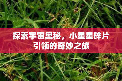小星星碎片引领的奇妙之旅图片