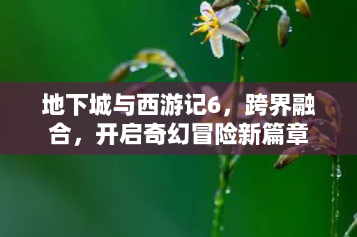 地下城与西游记6，跨界融合，开启奇幻冒险新篇章