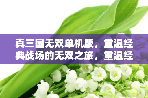 真三国无双单机版，重温经典战场的无双之旅，重温经典战场的无双之旅，真三国无双单机版