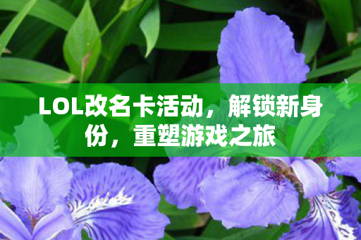 LOL改名卡活动图片