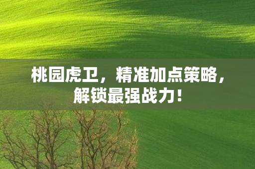 精准加点策略图片