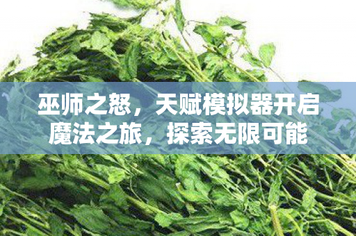 天赋模拟器开启魔法之旅图片