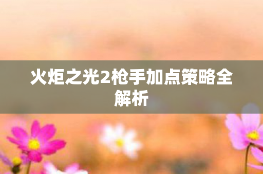 火炬之光2枪手加点策略全解析图片