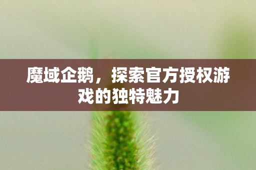 探索官方授权游戏的独特魅力图片