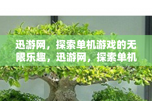 探索单机游戏的无限乐趣图片