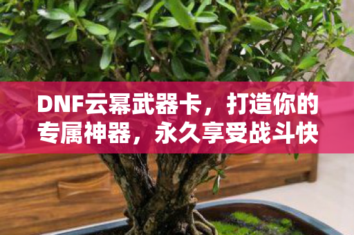 DNF云幂武器卡图片